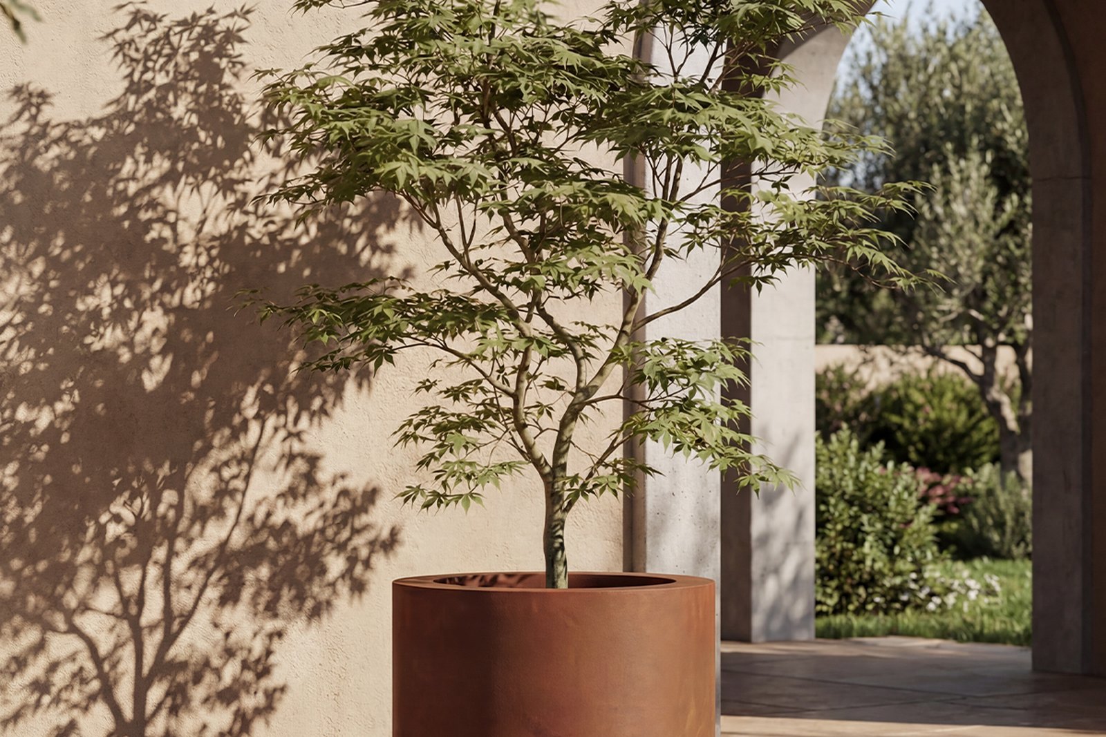Pflanzkübel mit Baum im mediterranen Garten