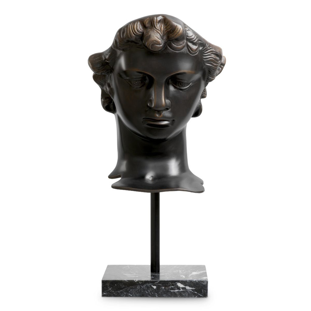 Head David