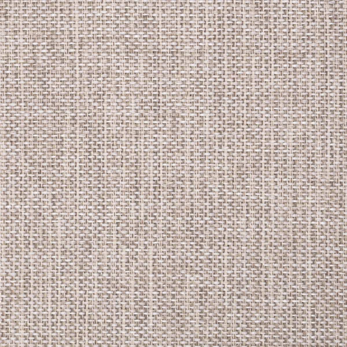 Chair Rubautelli