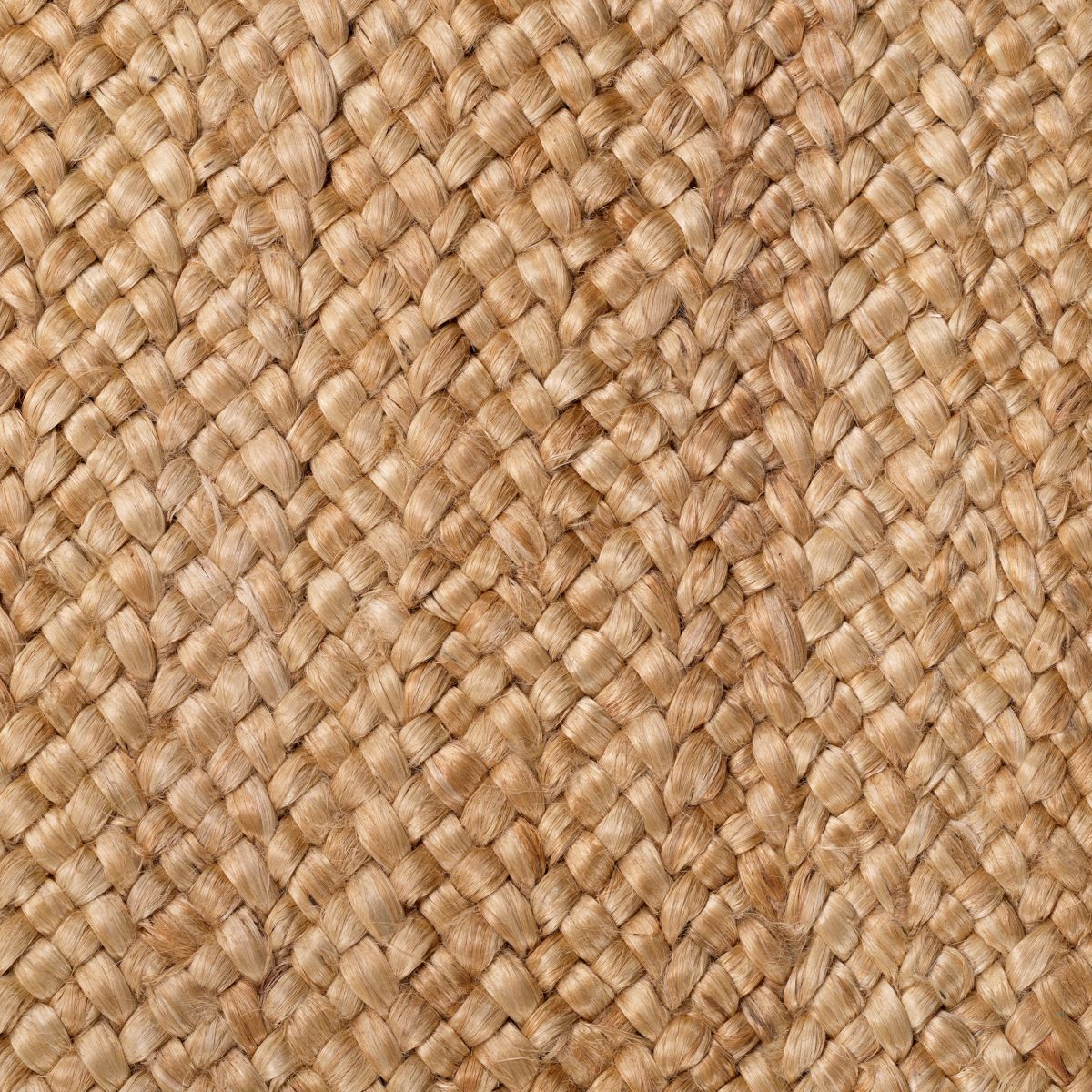 Rug Soleste 300 x 400 cm