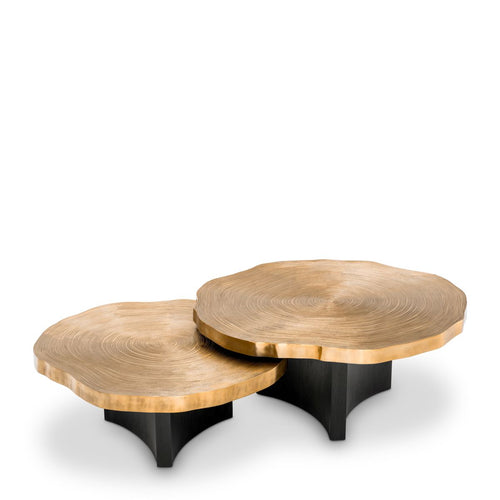 Coffee Table Thousand Oaks set of 2