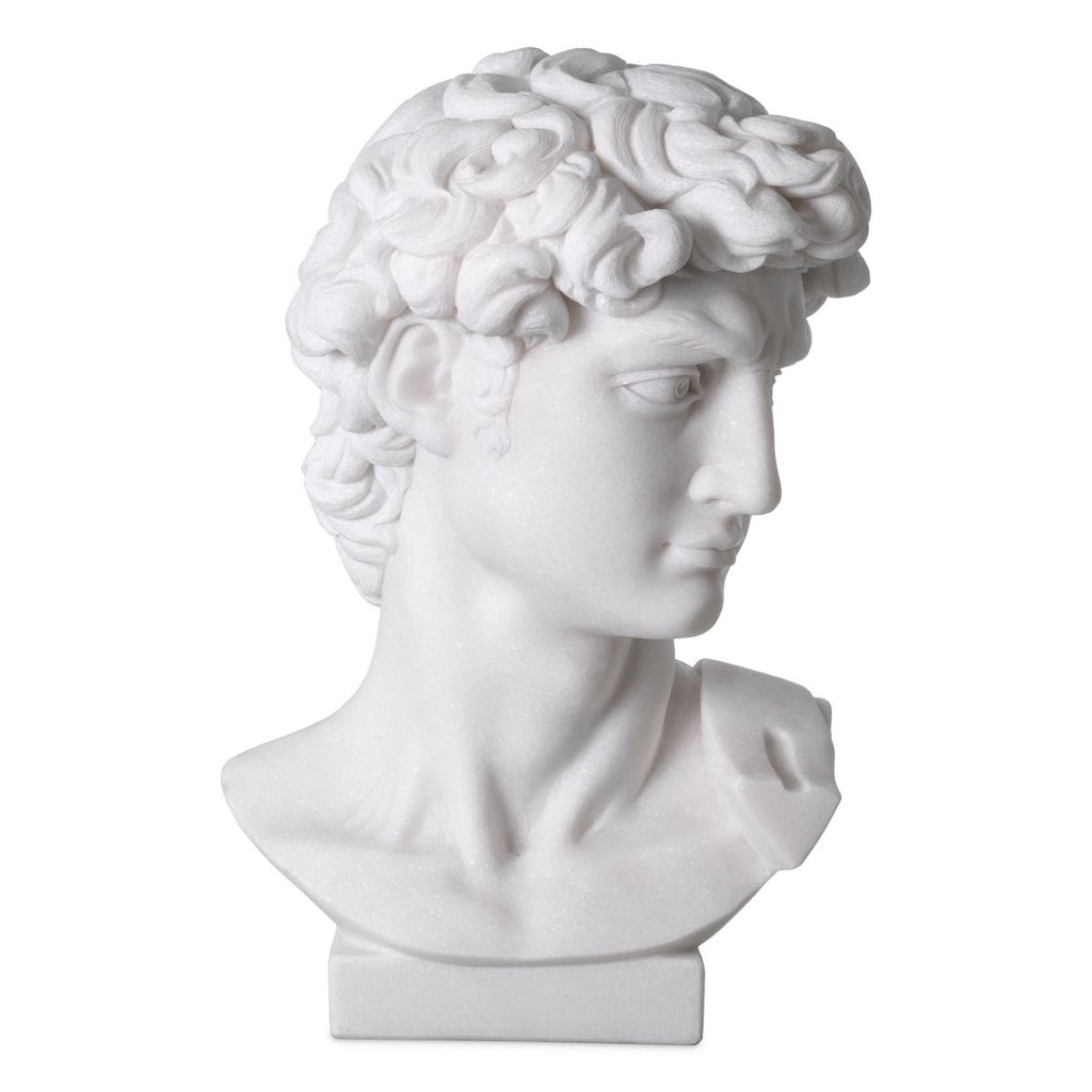 Head David