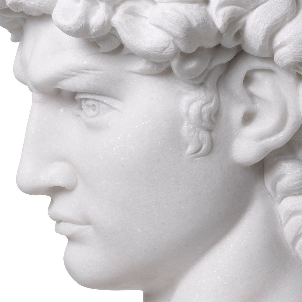 Head David