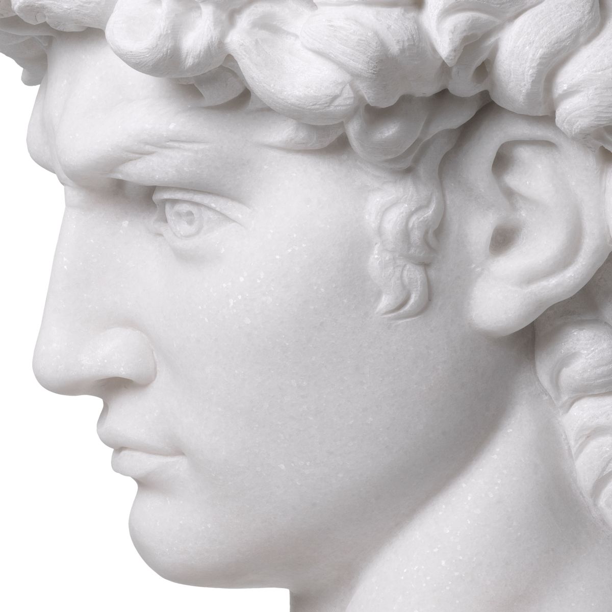 Head David