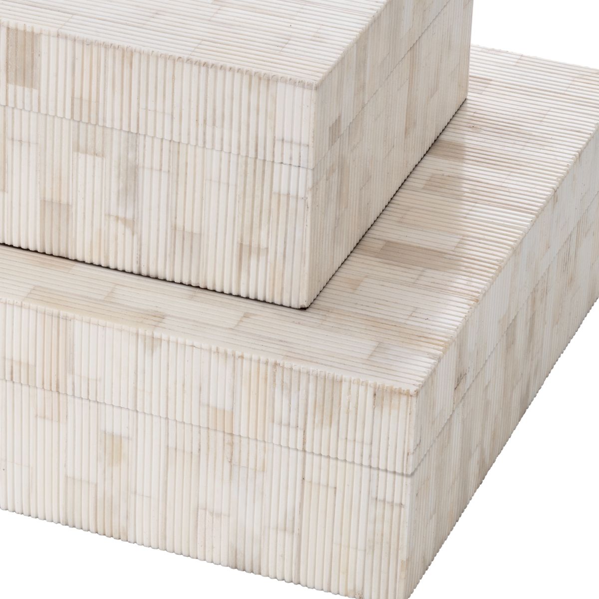 Box Scoop L