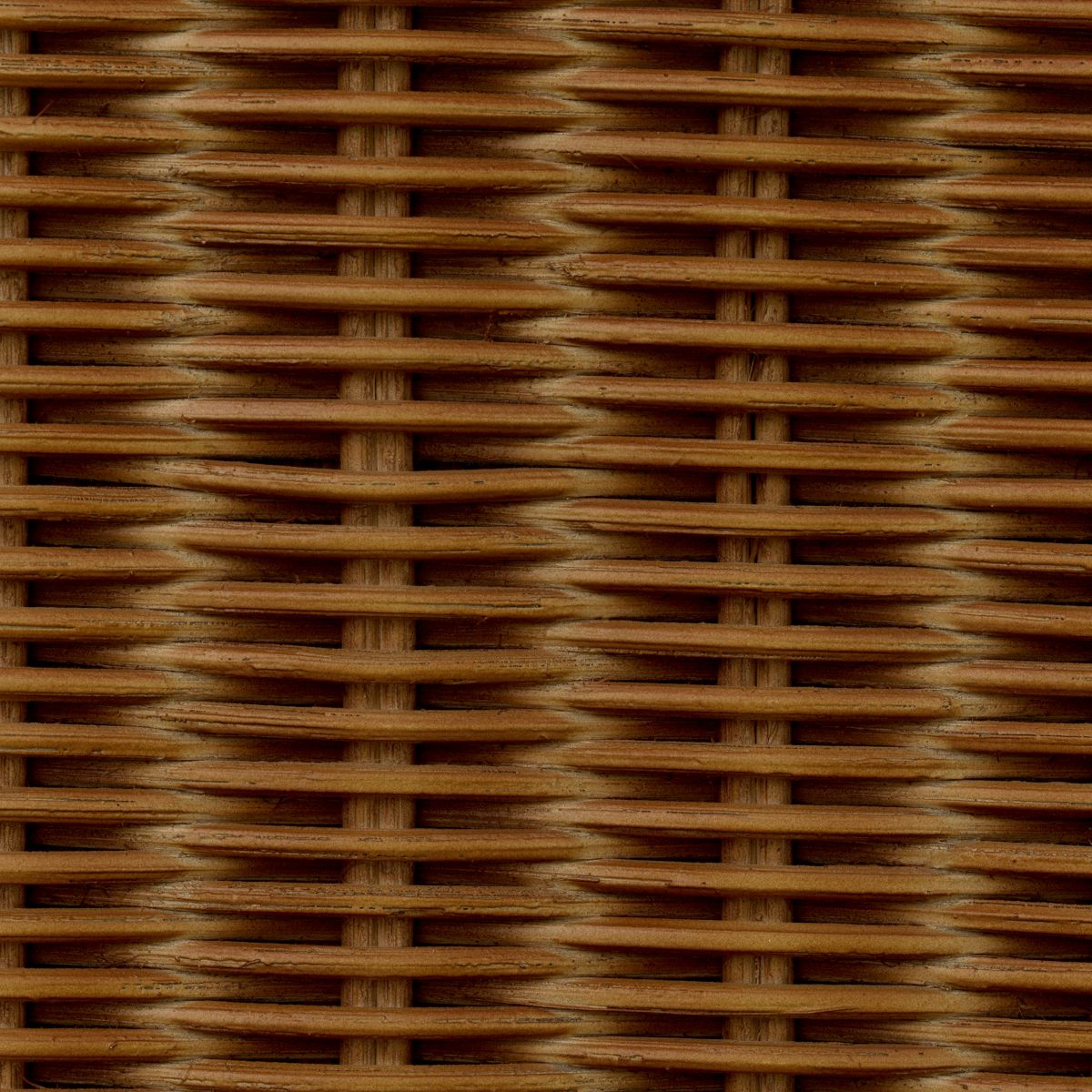Dresser Borchard