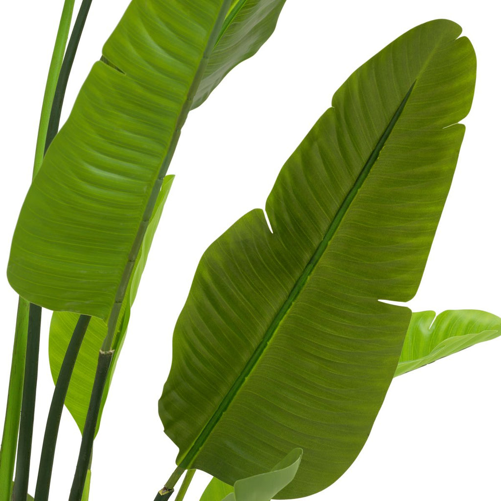 Artificial Plant Strelitzia M