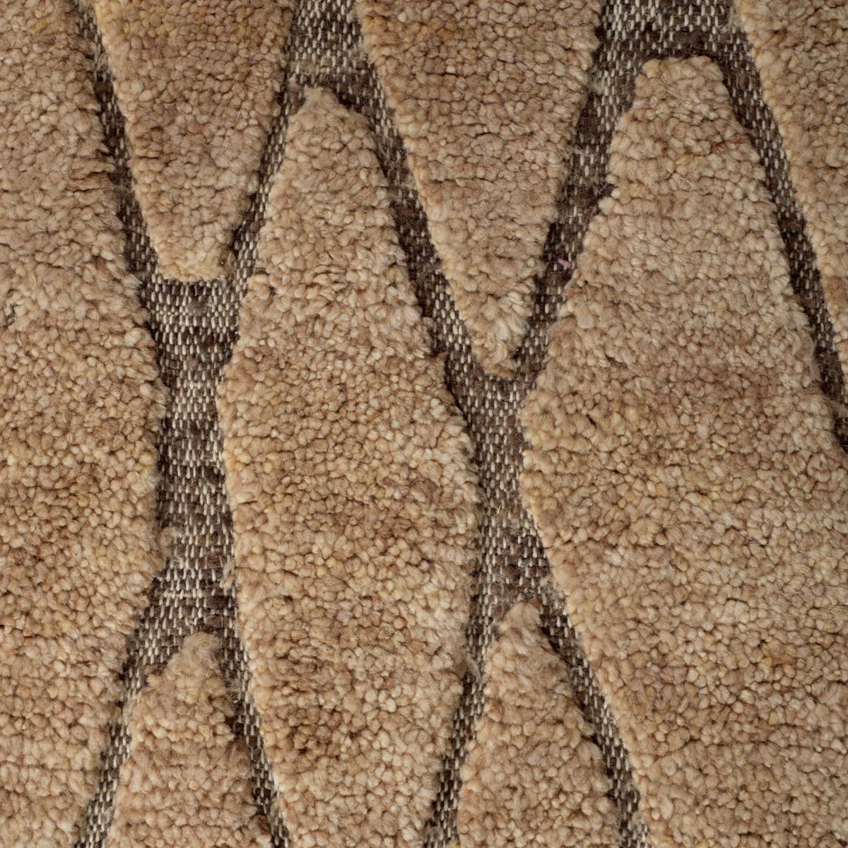 Rug Coralie 200 x 300 cm