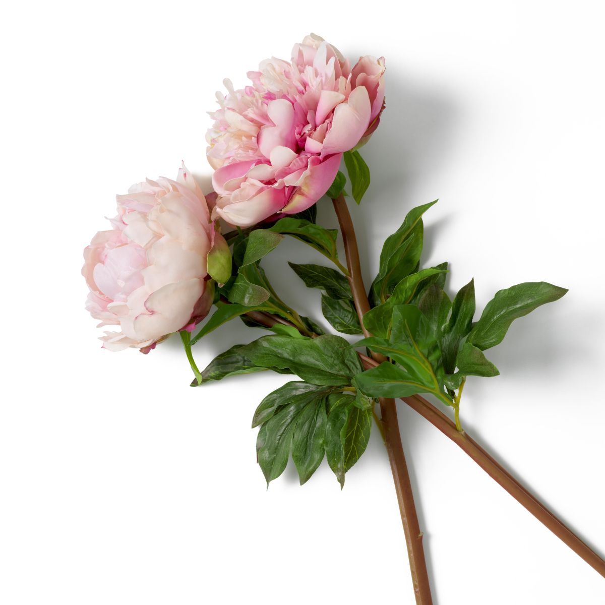 Bouquet of Peonies real touch 48 pcs/2 varieties