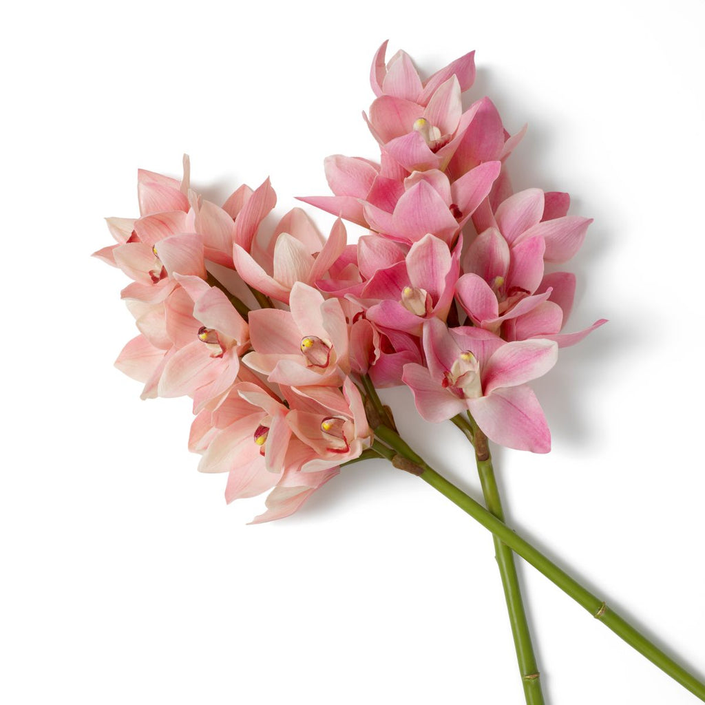 Bouquet of Cymbidium Orchids real touch 36 pcs
