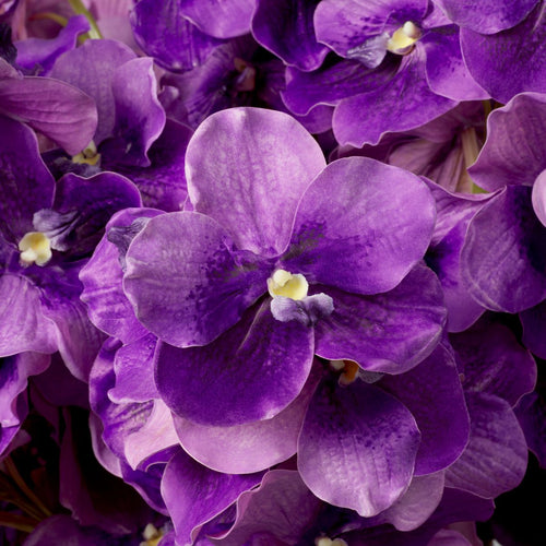 Bouquet of Vanda Orchids real touch 24 pcs