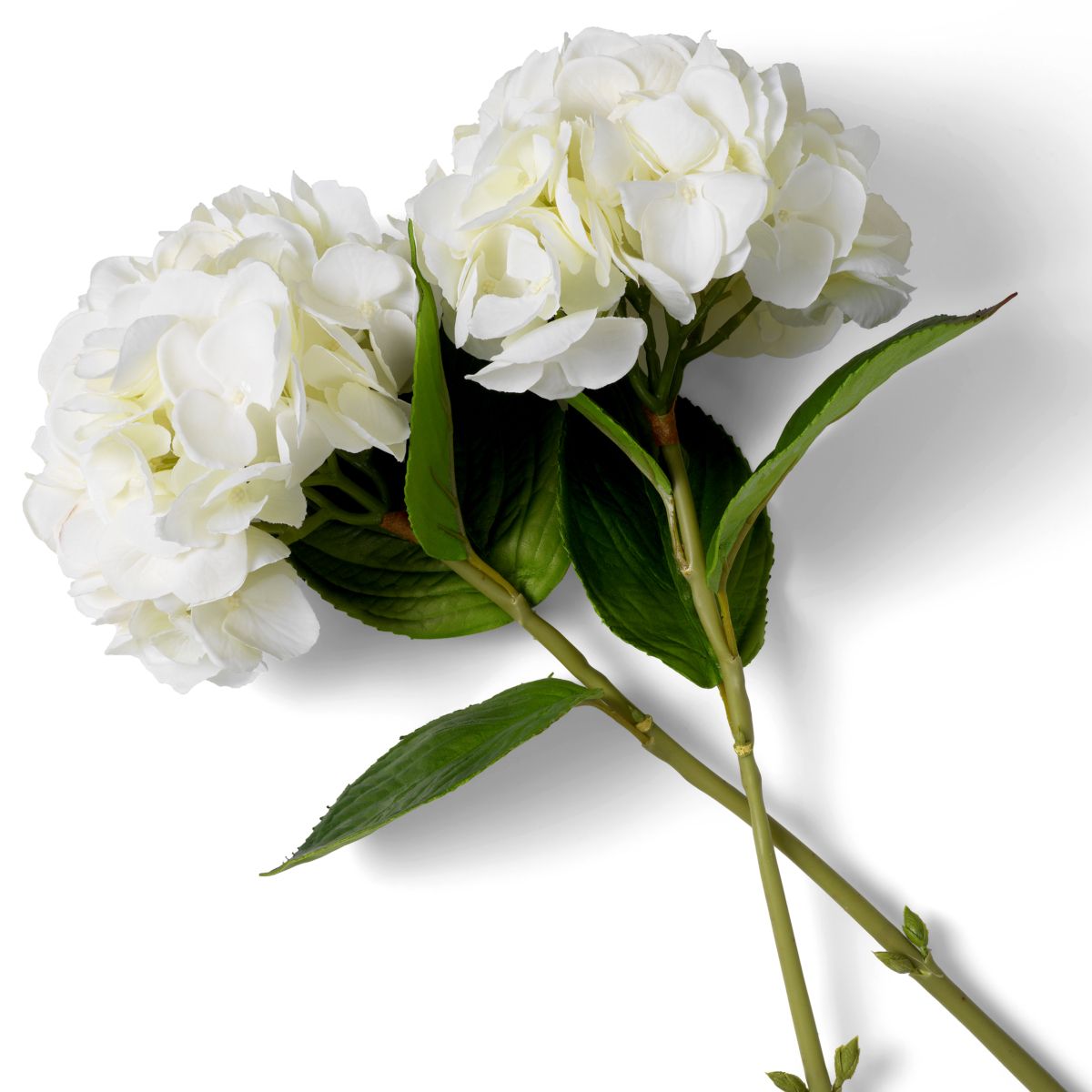 Bouquet of Hydrangeas real touch 48 pcs/2 varietie