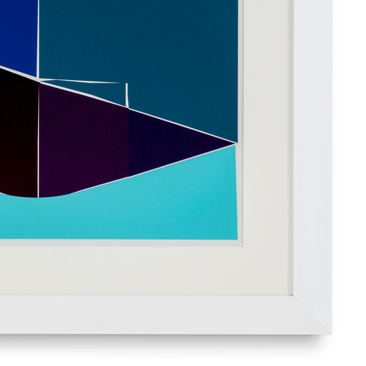 Print Silkscreen from Boissière I by Henri Boissiè