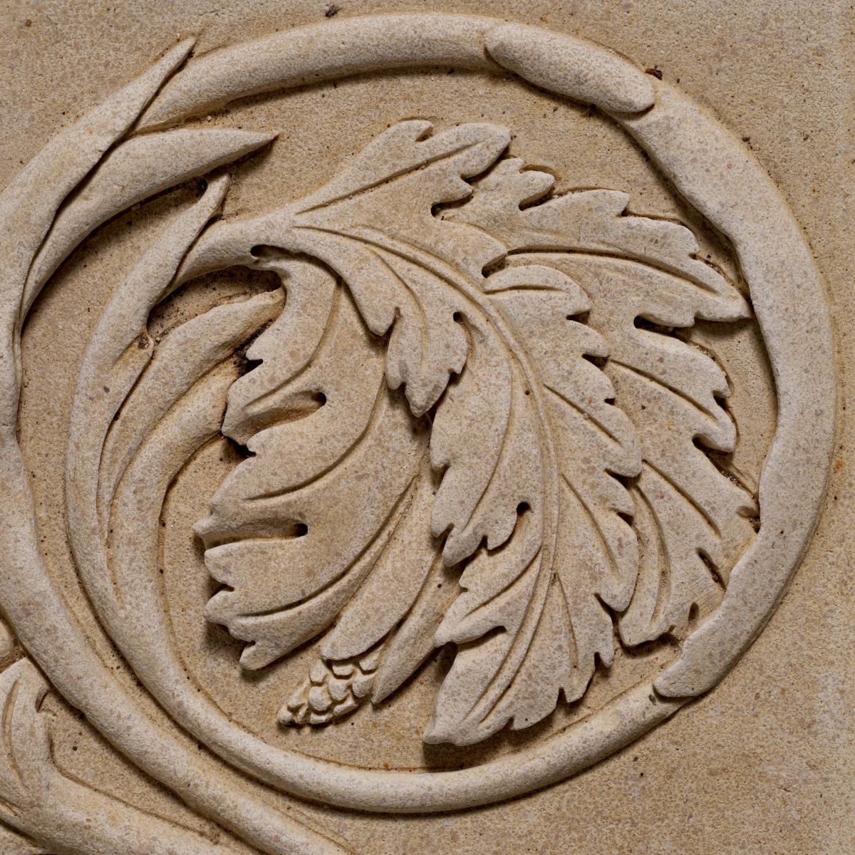 Object Acanthus