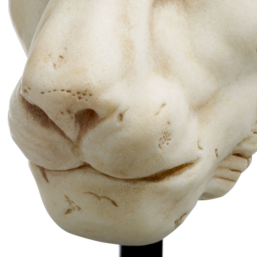 Object Lion